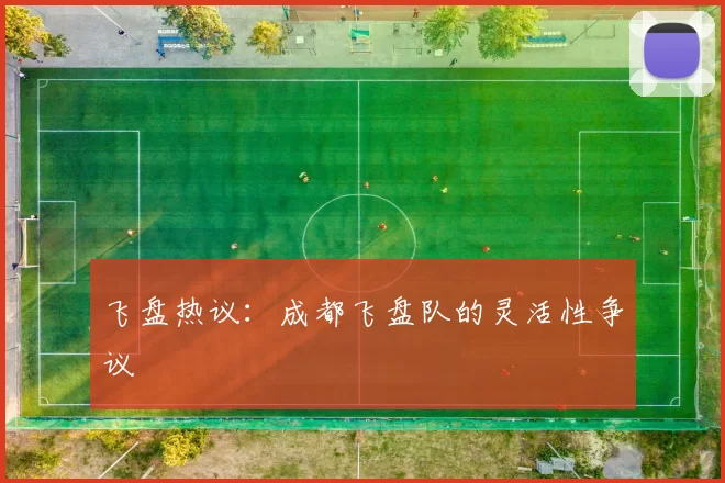 飞盘热议：成都飞盘队的灵活性争议