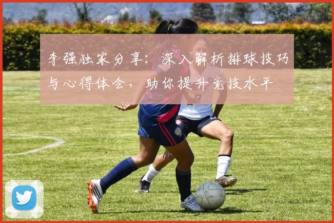 李强独家分享：深入解析排球技巧与心得体会，助你提升竞技水平